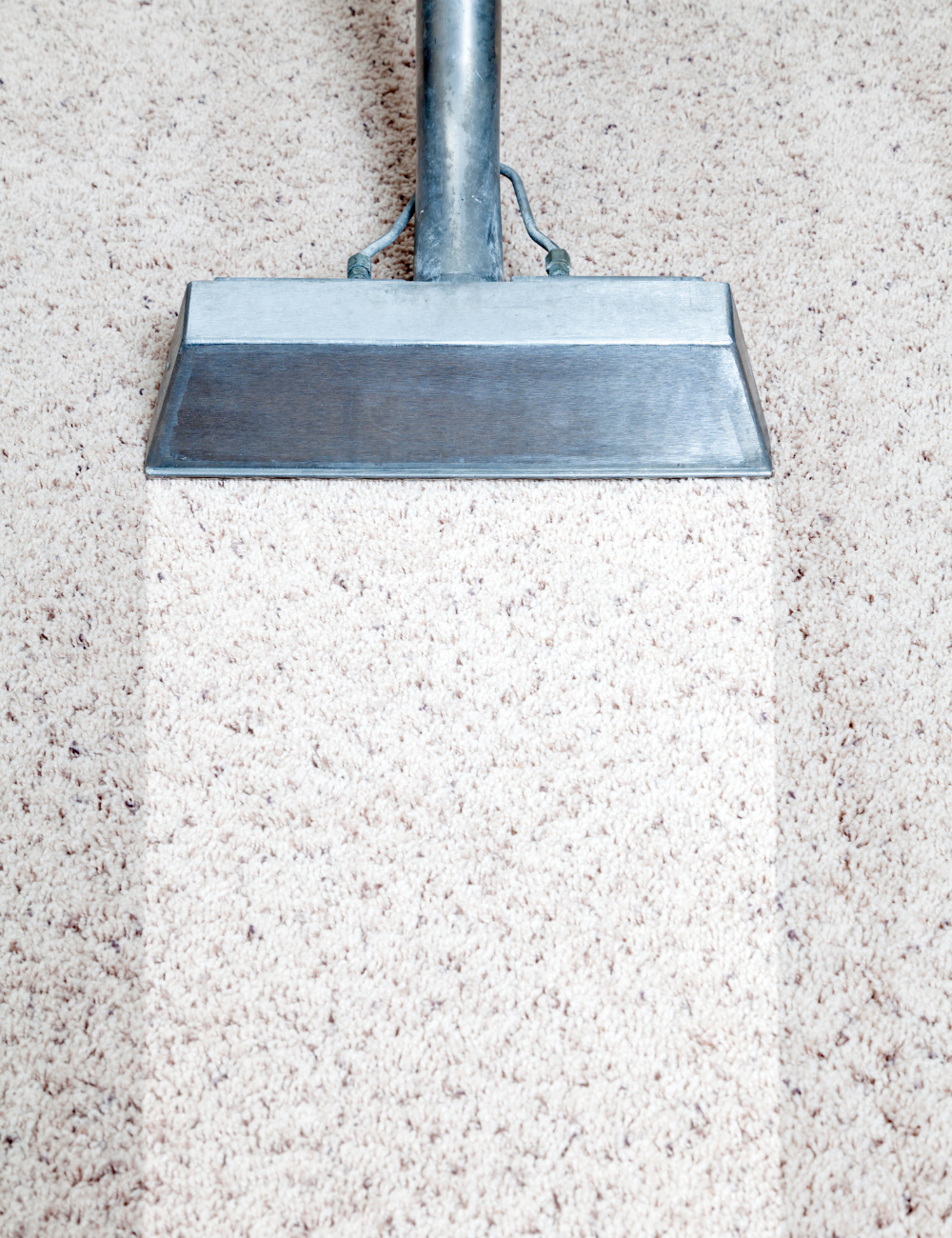 Carpet Cleaning